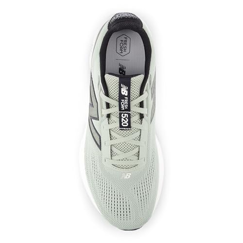 Image of New Balance Men's Fresh Foam 520 v9 Running Shoe