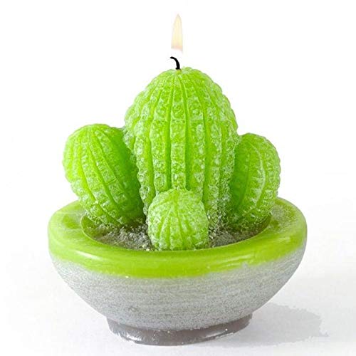 Graine Créative Kit Candele Fai da Te - Cactus
