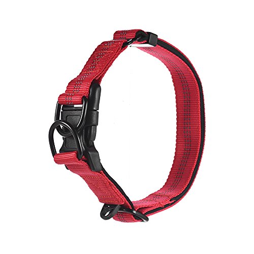 Festnight Strong Durable Dog Collar Dual D-ring Nylon Comprimento ajustável Tiras reflexivas Confort
