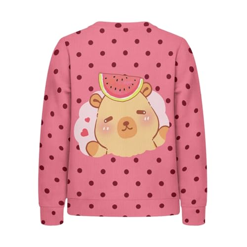 HUIACONG Boys Girls Sweatshirt Children Sweater for Kids Shirt2