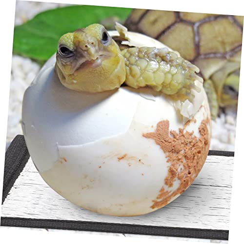 Levemolo 6pcs Alfombrilla calefactora para reptiles miniatura 6