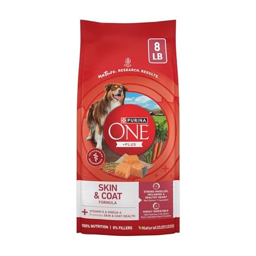 Purina ONE Natural, Sensitive Stomach Dry Dog Food, +Plus Skin & Coat Formula - 8 lb. Bag