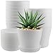 CHEUKYIU 16 Stück 10cm Blumentopf, Pflanztöpfe Kunststoff, Kleine Blumentöpfe, Anzuchttöpfe Pflanzentöpfe, Rund Pflanzen Töpfe, Übertopf Töpfe mit Mehrere Ablauflöchern für Pflanzen, Balkon, Weiß