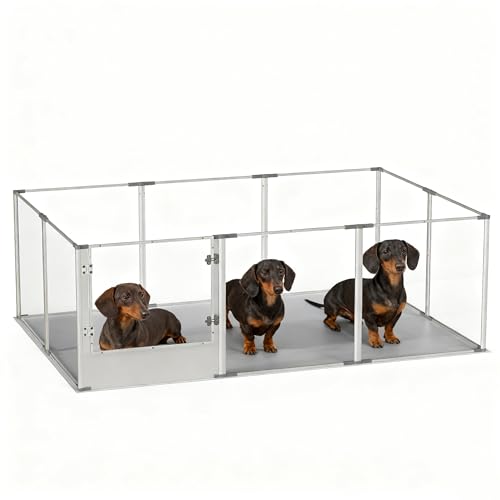 BingoPaw ybgT[N ^ ybgtFX    L hbOT[N NA  AN 10g