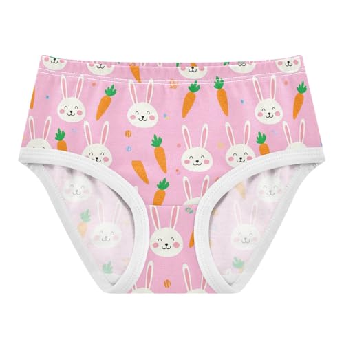 Cute Bunny Rabbit Carrot Pink Toddler Girls's Underwear 2T 2302213