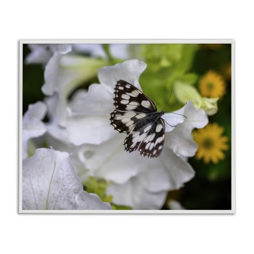 Butterfly Geranium Blossom, 24 x 30 Inch Framed Giclée Print
