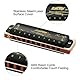 East Top Diatonische Blues Harmonica Mundharmonika 10 Löcher T008K Tonart D Mundharmonika Für professionelle Spieler, Anfänger, Studenten, Erwachsene, Kinder, als Geschenk
