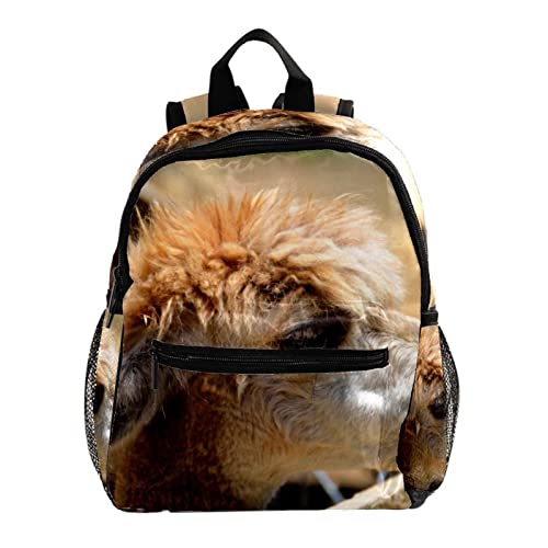Sac à dos pour garçons 30,5 cm blanc cartable fille multicolore léger