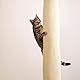Kerbl Pet Klettersack Climber für Katzen, 16x16x240 cm
