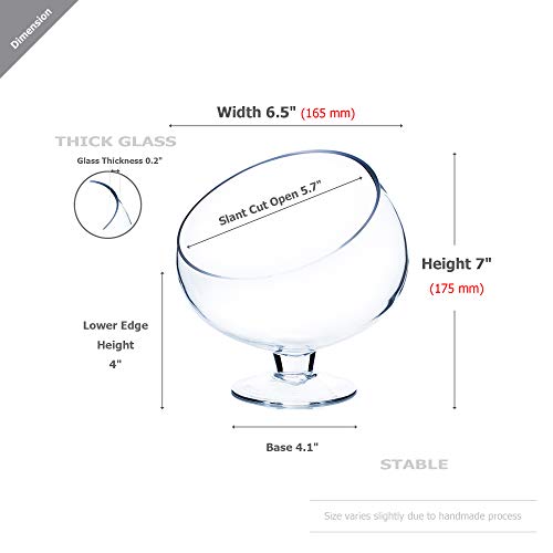 image for WGVI WGV Slant Cut Bowl Glass Vase with Stand, Width 6.5
