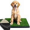 Dog Grass Pad with Tray -3 Layered System Artificial Turf Grass Potty, Reusable Puppy Pee Pads for Dogs, Portable Dog Litter Box for Indoor/Outdoor Potty Training Toilet(25×20 in)