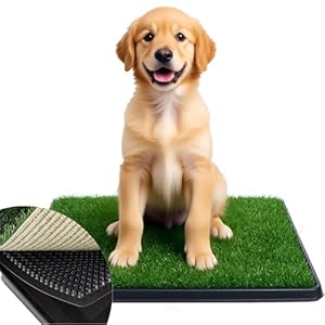 Dog Grass Pad with Tray -3 Layered System Artificial Turf Grass Potty, Reusable Puppy Pee Pads for Dogs, Portable Dog Litter Box for Indoor/Outdoor Potty Training Toilet(25×20 in)