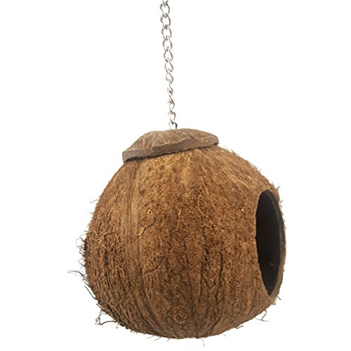 EMVANV Nichoir à oiseaux naturel en coquille de noix de coco pour cage ou extérieur - Pour perroquets, perruches, moineaux (nid en noix de coco)