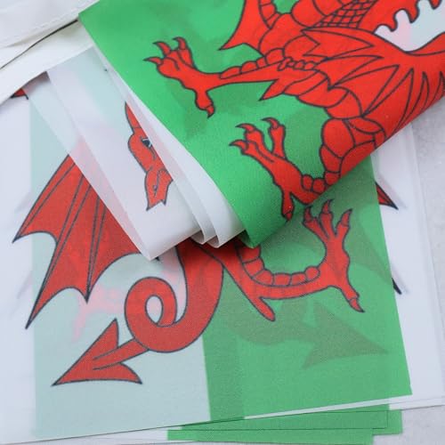 Image of AZ FLAG Wales 6 meters BUNTING Flag 20 flags 9'' x 6'' - Welsh STRING flags 15 x 21 cm