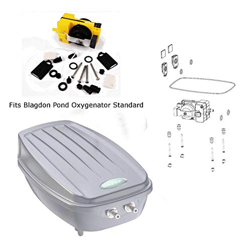 Blagdon Komplettes jährliches Wartungsset für den Sauerstoffgehalt des Teiches mit 2 Auslasspumpen.