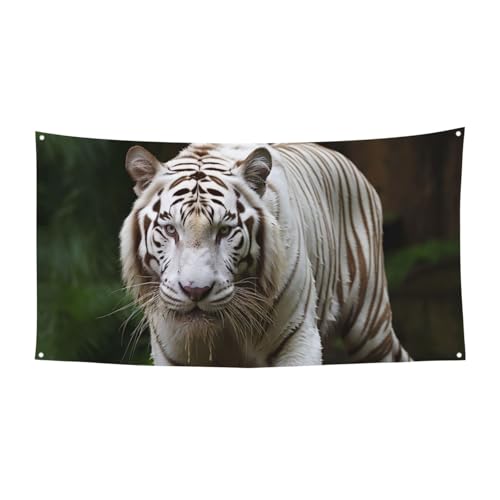 EFJoi[ p[eB[tbO ʐ^Bewi wioi[ }WFXeBbN zCg xK^CK[ TC ʐ^ oi[ tFXp a K[fp[eB[pi LOi ǂ̑ 70 x 35C`