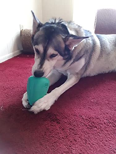 Brinquedo premium de borracha natural extremamente durável para cães Chew King, pacote com 2, GG