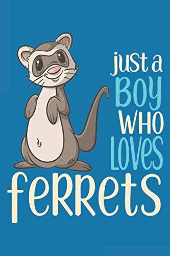 Just a Boy Who Loves Ferrets: Journal Notebook Diary: 120 Lined, Wide Rule Pages