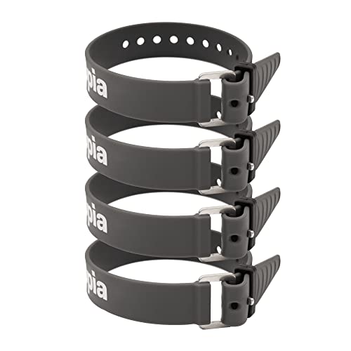 Appia Straps - Spanngurte 35cm Grau (4er Pack) inkl. Strap-Keeper für Fahrrad, Ski, Bikepacking, Camping, Heimwerken aus TPU mit rostfreier Aluminium-Schnalle