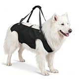 Full Body Dog Lift Harness, Support Senior & Disabled Walk XL