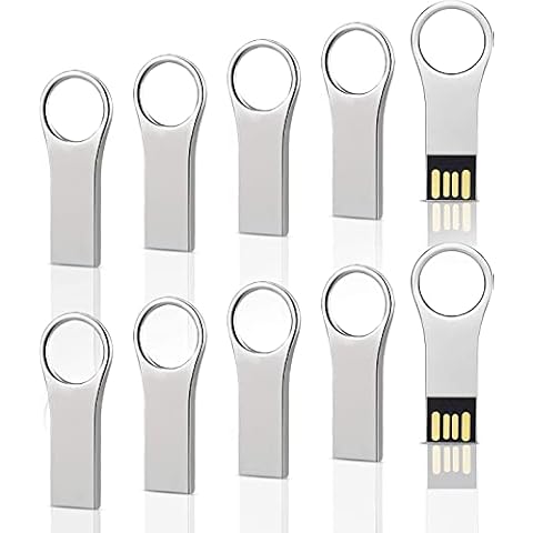 RAOYI 10 Pack 2GB USB Flash Drive Metal Thumb Drives Waterproof Jump Drive Memory Stick USB 2.0 Key Shaped, Silver Cover