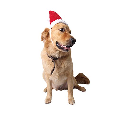 BT Bear® Weihnachtskostüm für Hunde und Katzen, Weihnachtsmütze für Welpen, Kleine, Mittelgroße und Große Hunde