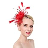 Façon de fixation: barrette ou serre-tête,facile à fixer dans les cheveux.