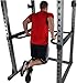 Body-Solid (DR378) Power Rack Dip Attachment, Only Compatible with Body Solid GPR378 Power Rack