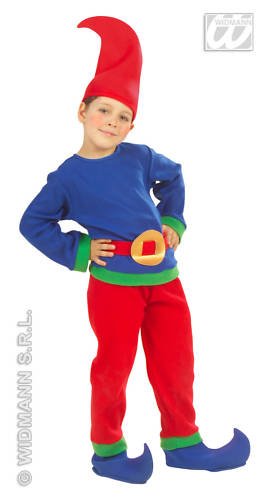 Partylandia Shop Costume Lutin Nano, Bleu et Rouge, 116u00a0cm (4u00a0u0096u00a05u00a0Ans), 4374u00a0W [blu-116]