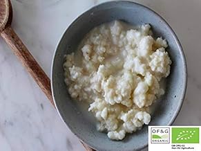 Large portion Kombuchaorganic Certified Organic by OF&G Milk Kefir Grains Tibetan Mushroom 10g
