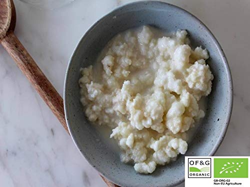 15 g de Strain and The Best in Europe Organic Milk Kefir Grains Tibétan Mushroom Grzybek Starter Cover