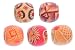 Godagoda Mixed Wooden Beads for Charm Bracelet Pack of 100pcs