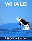 Whale Photo Book: Photography Book With 40 Beautiful Images About Whale | Gifts For Fans Of All Ages To Unwind And Leave Stress Behind