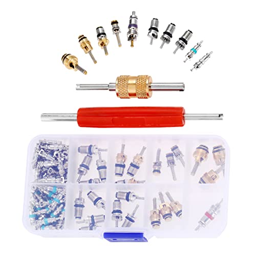 102Pcs Car Air Conditioning Valve Core Kit, Auto Ac Repair Complete Tool Box Set, A/C R12 R134A 100Pcs Refrigeration Tire Valve Stem Cores, 2Pcs Removal Tool, For Car Air Contitionaing Repair #TOP25