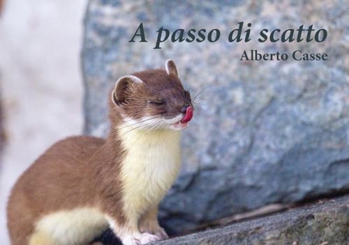 Livre A passo di scatto édition italienne de photographie