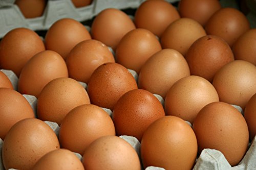 Eggs