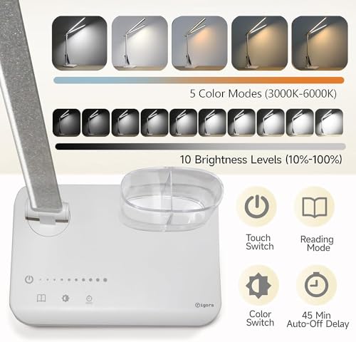 Rigors 55cm Lampada da Scrivania Doppia, 10