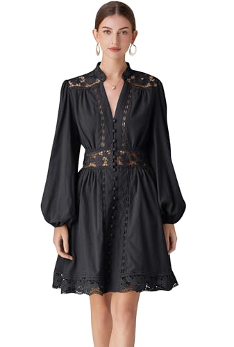 LAI MENG FIVE CATS Women's V-Neck Elegant Lace Long Sleeve Lantern Sleeve Button up Casual Mini Dress