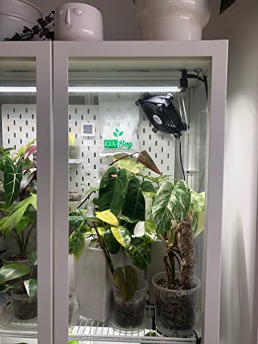Co2 Bag -Co2 For Indoor Growing. Small, Effective And Affordable #TOP4