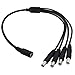 DC 1 Female to 4 Male Output Power Splitter Cable 4 Pcs 1 to 4 DC CCTV Camera Power Splitter Cable Y Adapter for CCTV Security Cameras and LED Strip Lights Deguangxin (4 Pcs 1 to 4 Way)