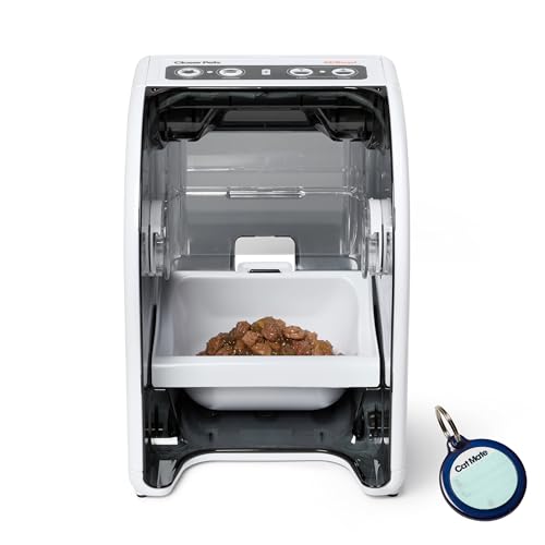 Types of Automatic Cat Feeders