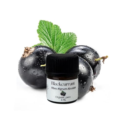 Aceite Absoluto de Grosella Negra Orgánico 1mL miniatura 1