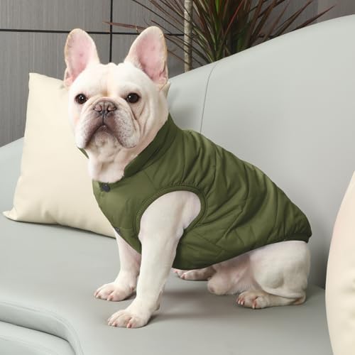 JoyDaog Fleece Hundejacke für Winter kaltes Wetter, Extra Weicher Hundemantel für Kleine Hunde, Winddichte Welpen Weste, Grün XS