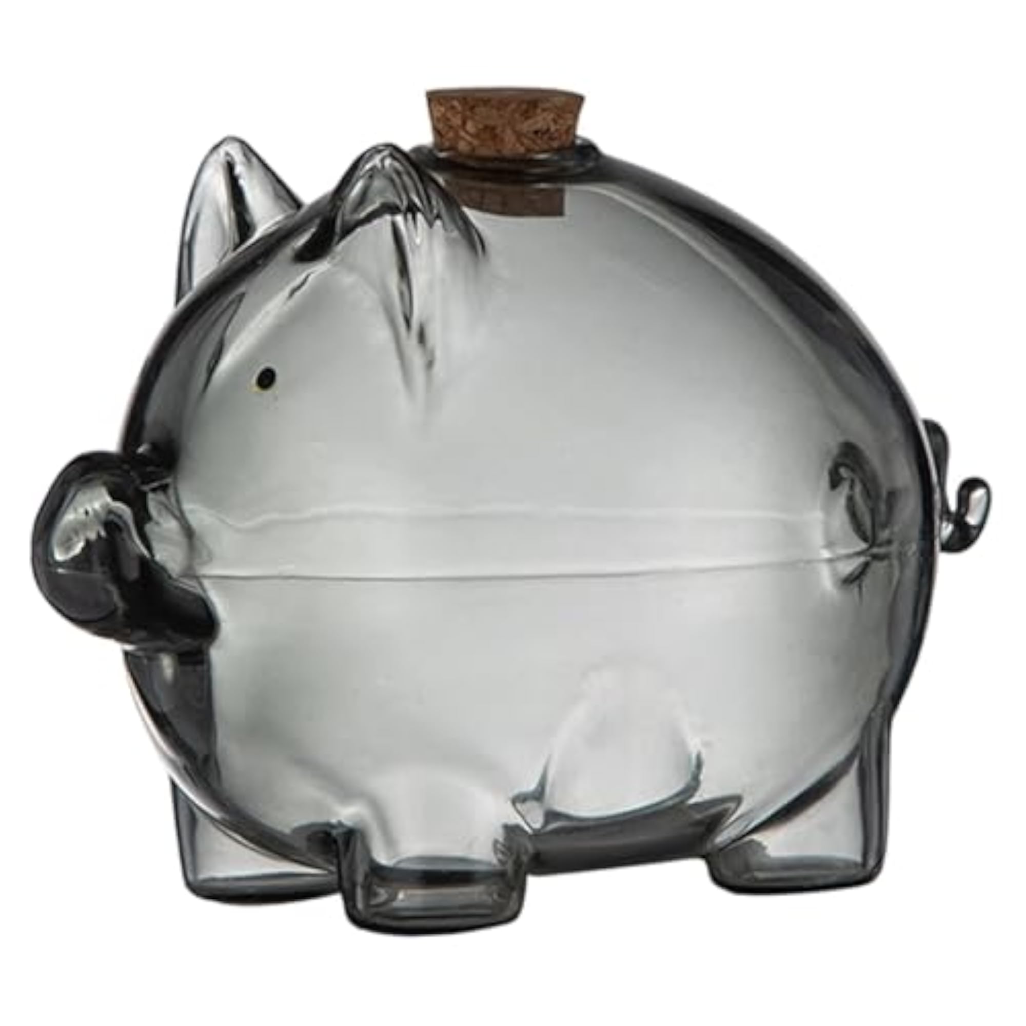 Borosilicate Glass Money Saving Jar for Kids