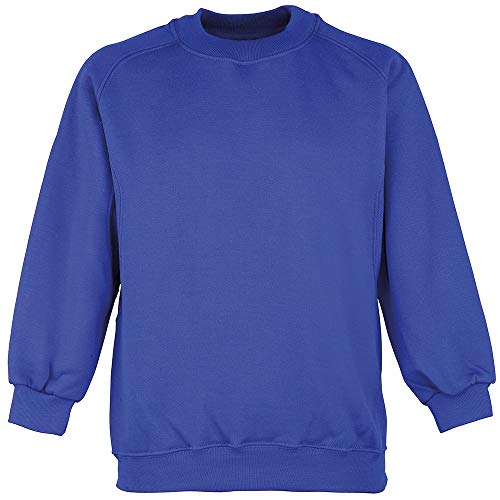 Maddins Niños Curvo Raglán Mangas Tripulación Cuello Camisa de Entrenamiento - Real (34)