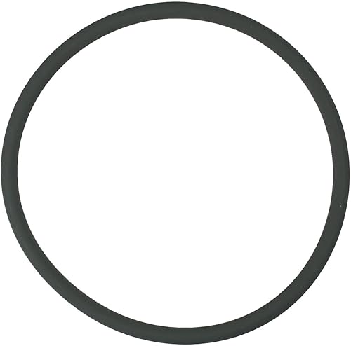 Pentair R172009Z Junta tórica para alimentador, color blanco