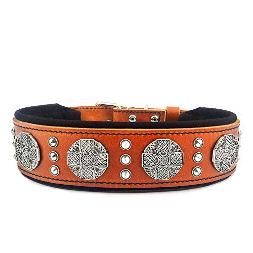 Bestia Maximus Genuine Leather Dog Collar, Large Breeds, Cane Corso, Rottweiler, Boxer, Bullmastiff, Dogo, Quality Dog Collar, 100% Leather, Studded, M- Xxl Size, 2.5 Inch Wide. Padded. Made In Europe #TOP28
