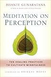 Meditation on Perception: Ten Healing Practices to Cultivate Mindfulness