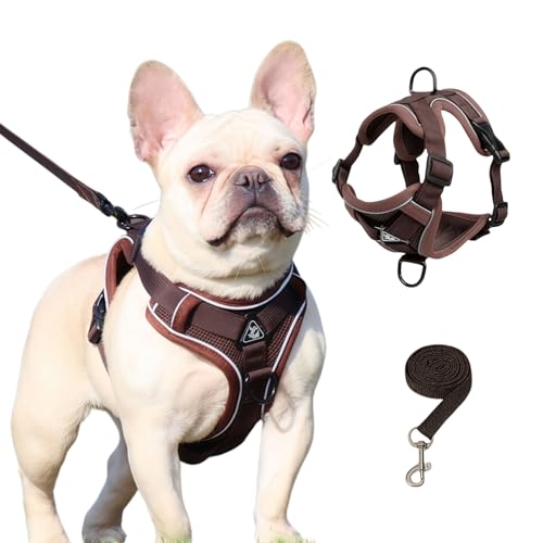 SOLMOONY Small Dog Harness,Soft Mesh Puppy Harness and Leash Set,No Escape Cat Harnesses for Training Walking,Reflective Adjustable Puppy Vest for Small Medium Dogs, Cats (Brown, S)