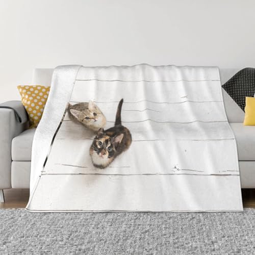 エアコンブランケット 猫 可愛い ねこ フランネル エアコン対策 ひざ掛け 防寒 膝掛け ふわふわ 四季通用 就寝用 昼寝用 クーラー ケープ用 防寒対策 贈り物 76×102cm